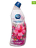 Ambi Pur 8er-Set: WC-Reinigergel "Pink Hibiskus", 8x 750 ml