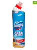 Domestos 4er-Set: WC-Reiniger-Gel "Ocean Fresh", je 750 ml