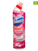 Domestos 4er-Set: WC-Reiniger-Gel "Floral Fresh", je 750 ml