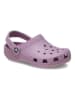 Crocs Chodaki "Classic" w kolorze fioletowym