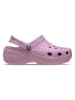 Crocs Crocs paars