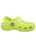 Crocs Crocs groen