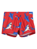 Blue Seven Szorty kąpielowe w kolorze czerwono-niebieskim