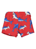 Blue Seven Szorty kąpielowe w kolorze czerwono-niebieskim