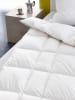 Häussling Bettwaren Winterdonsdekbed "Select" wit