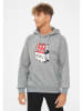 Derbe Hoodie in Grau