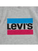 Levi's Kids Shirt in Grau
