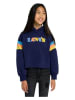 Levi's Kids Hoodie donkerblauw