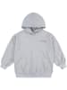 Levi's Kids Hoodie in Grau