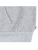 Levi's Kids Hoodie in Grau