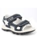 Primigi Sandalen donkerblauw