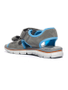 Primigi Leren sandalen grijs/blauw