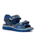 Primigi Leren sandalen donkerblauw