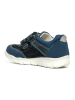 Primigi Leder-Sneakers "Hilos" in Blau