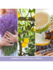 Yankee Candle 3-delige set: geurkaarsen "Lemon Lavender" - 3x 37 g