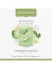 Yankee Candle Geurkaars "Vanilla Lime" - 567 g