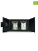 WoodWick Świece zapachowe (2 szt.) - 2 x 275 g