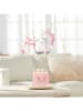Yankee Candle Geurkaars "Fresh Cut Roses" - 368 g