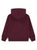 Levi's Kids Hoodie rood