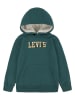 Levi's Kids Hoodie in Grün