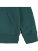 Levi's Kids Bluza w kolorze zielonym