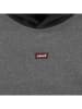 Levi's Kids Hoodie grijs/zwart