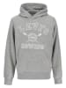 Levi's Kids Hoodie lichtgrijs
