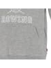 Levi's Kids Hoodie in Hellgrau
