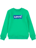 Levi's Kids Sweatshirt in Grün