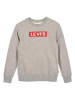 Levi's Kids Sweatshirt in Grau