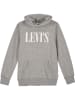 Levi's Kids Sweatshirt in Grau