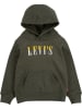 Levi's Kids Sweatshirt kaki