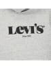 Levi's Kids Hoodie in Grau