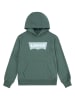 Levi's Kids Hoodie in Grün