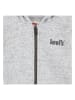 Levi's Kids Sweatjacke in Grau