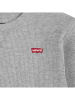 Levi's Kids Longsleeve grijs