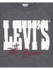 Levi's Kids Longsleeve in Grau