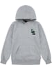 Levi's Kids Hoodie in Grau