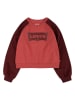 Levi's Kids Sweatshirt rood