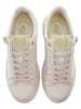 U.S. Polo Assn. Sneakers in Beige