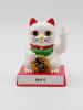 LOCOMOCEAN Interaktive Dekofigur „Cattit.“ in Weiß/ Rot - (B)9,8 x (H)12,6 x (T)9,5 cm