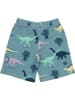 Walkiddy Shorts in Blau