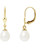 Pearl Addict Gold-Ohrringe mit Süßwasserzuchtperlen