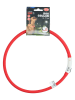 Edco 2er-Set: LED-Hundehalsbänder in Rot/ Blau - (Überraschungsprodukt)