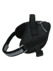 Edco Hondentuigje zwart