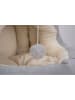Edco Kattenhut grijs/beige - (B)42 cm (verrassingsproduct)