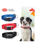 Edco 3er-Set: Hundehalsband in Bunt - (Überraschungsprodukt)