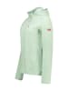 Geographical Norway Fleecejacke "Tugood" in Hellgrün