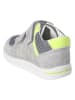PEPINO Leren sneakers "Nuro" grijs