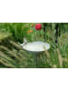 POSIWIO Vogeltränke in Grau - (B)24 x (H)10 x (T)22 cm